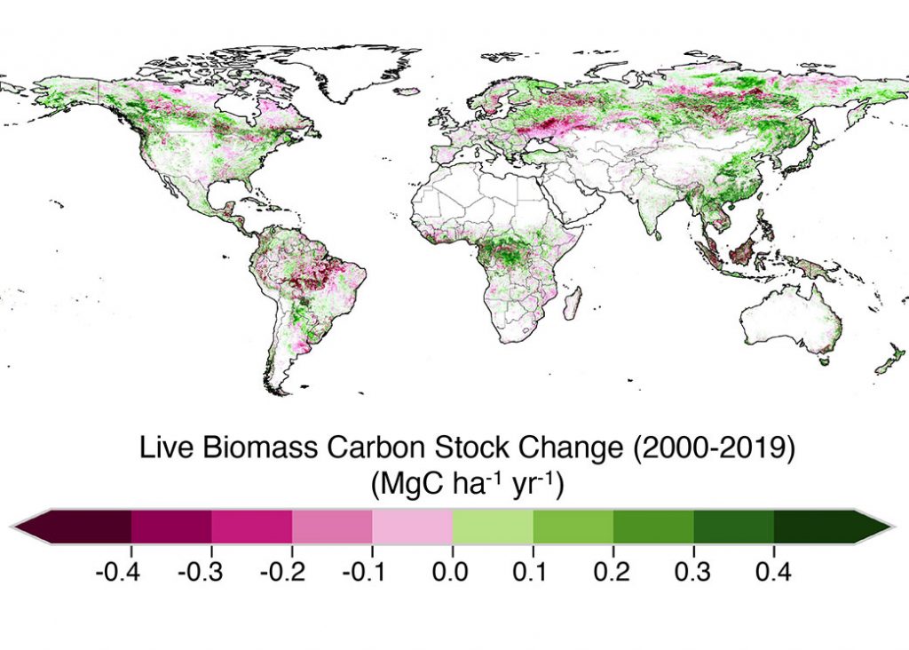 Tropske šume apsorbuju sve manje ugljen-dioksida