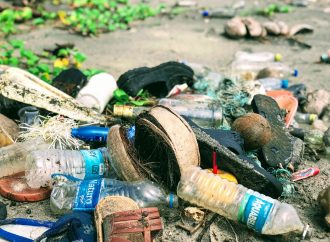 Velika analiza otpada u Beogradu: Koliko hrane i plastike bacamo