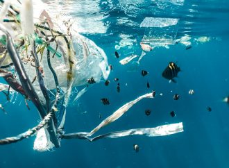 Plastika mnogo više zagađuje planetu nego što smo mislili