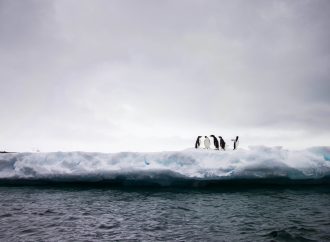 Doba izumiranja: Antartik prolazi kroz „veliku promenu“