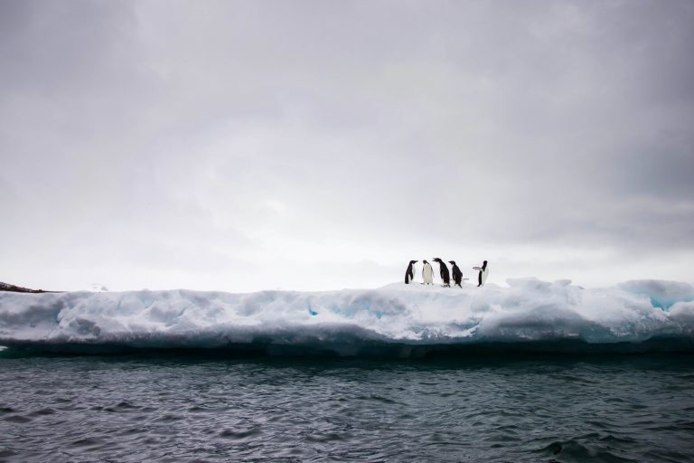 Doba izumiranja: Antartik prolazi kroz „veliku promenu“