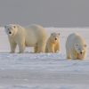 Kome odgovara otopljavanje Arktika: Ekološki i politički rizici