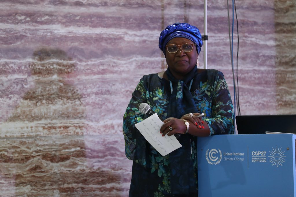 COP27: Zabrinjavajuće mali broj žena na pregovorima
