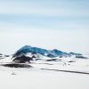 Naučnici oživljavaju 48.500 godina star ‘zombi virus’ zakopan u ledu