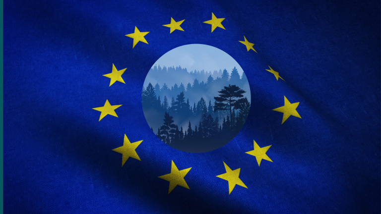 Novi zakon EU zabranjuje uvoz robe povezane sa krčenjem šuma
