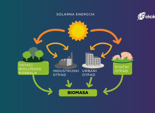 Potencijal biomase u Srbiji je veliki, ali ga ne koristimo