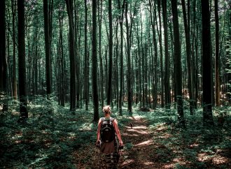 Krčenje šuma kao svetski i srpski problem