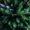 Forum UN: Zašto su šume važne