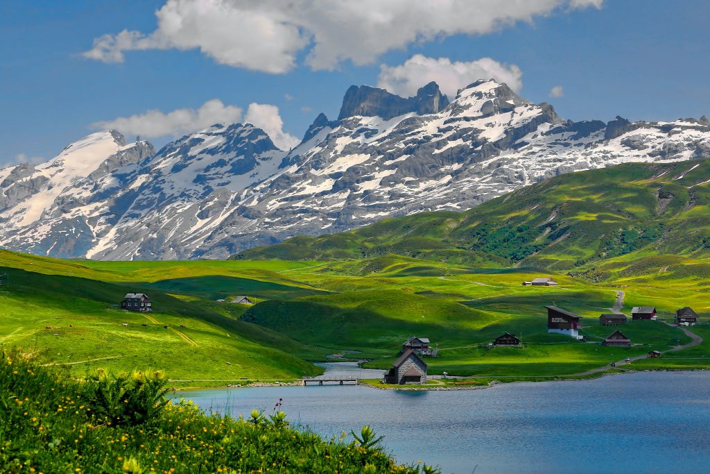 Glečeri koji nestaju ugrožavaju biodiverzitet Alpa