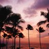 Kako su klimatske promene pretvorile Havaje u kutiju šibica