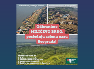 Milićevo brdo: Krivične prijave zbog uništavanja beogradske zelene oaze